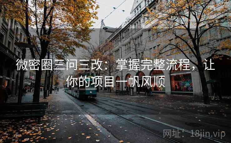 微密圈三问三改：掌握完整流程，让你的项目一帆风顺