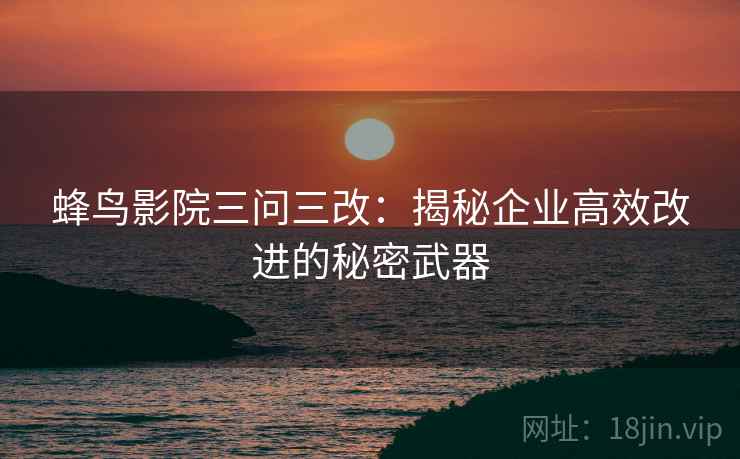 蜂鸟影院三问三改：揭秘企业高效改进的秘密武器