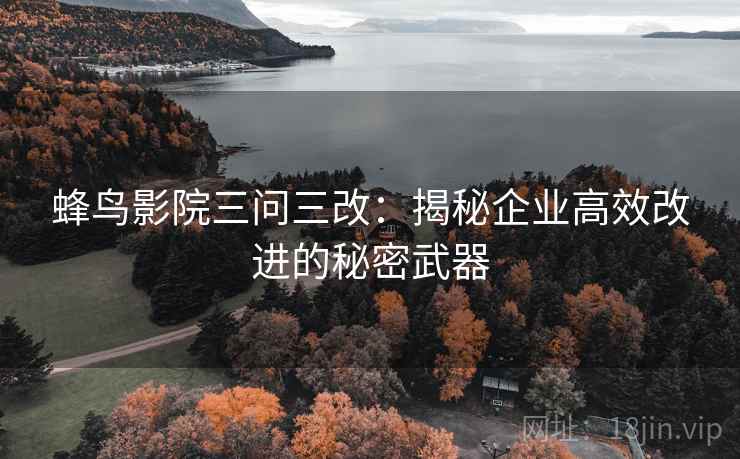 蜂鸟影院三问三改：揭秘企业高效改进的秘密武器