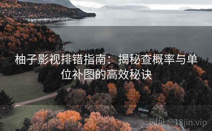 柚子影视排错指南：揭秘查概率与单位补图的高效秘诀